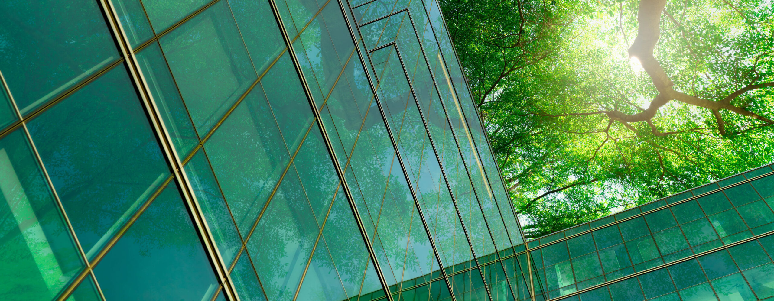 20221123-circles-Sustainability-TopBanner-1440x560x2-MH-comp - IMD Business School