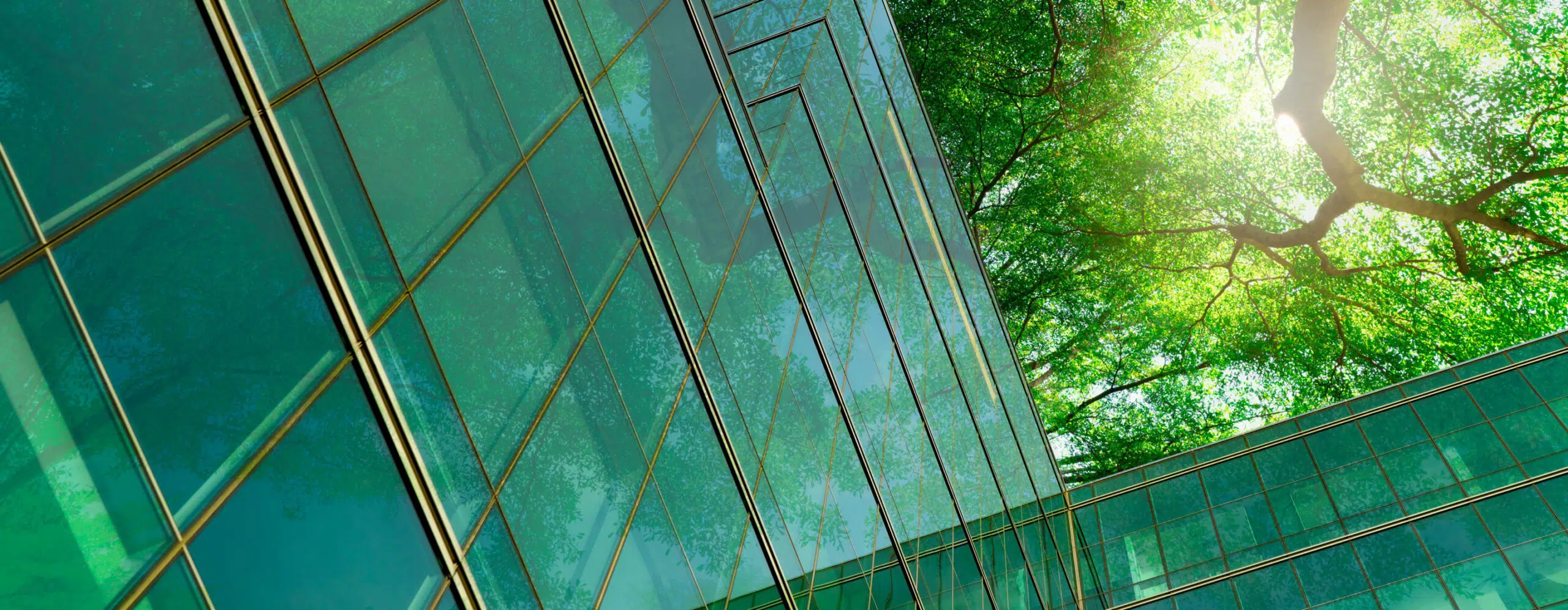 - IMD Business School