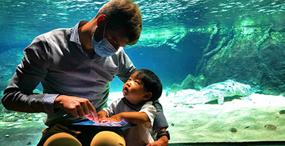 Améliorer l'expérience des visiteurs de l'aquarium et augmenter les revenus grâce à la technologie, au contrôle du trafic et à l’engagement
