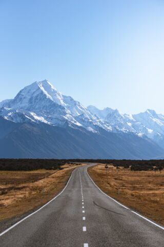While the world trades punches, New Zealand shows the way ahead