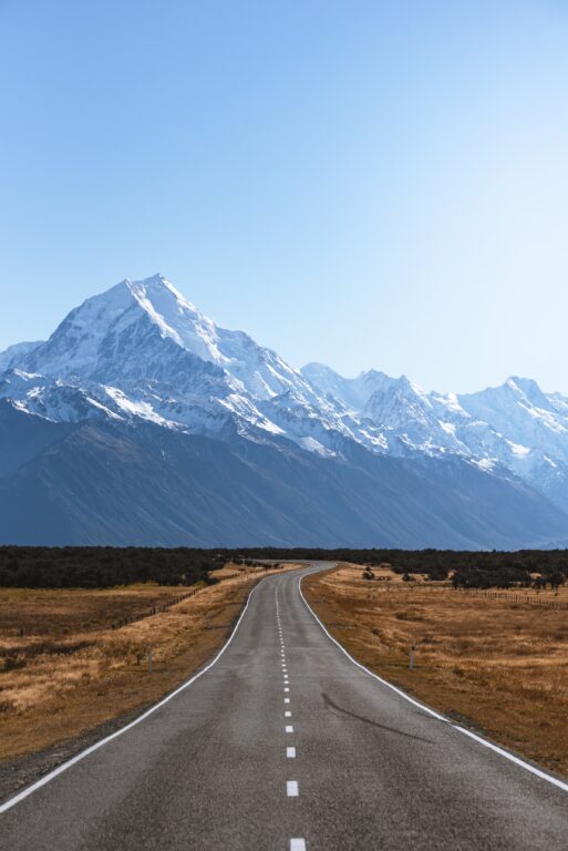 While the world trades punches, New Zealand shows the way ahead