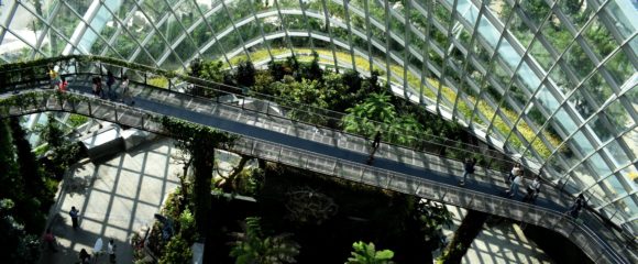 Let’s be clear: ESG is not ‘woke’ and it’s different from sustainability - IMD Business School