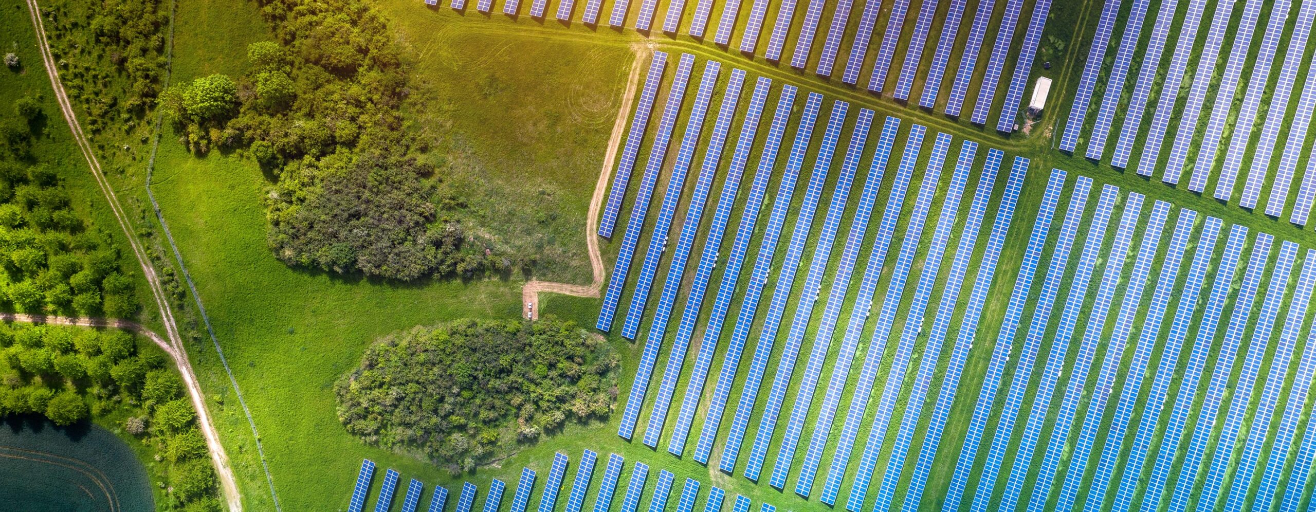 1.20230310-Categories-Sustainability-TopBanner-Desktop-2880×1120-AJ - IMD Business School