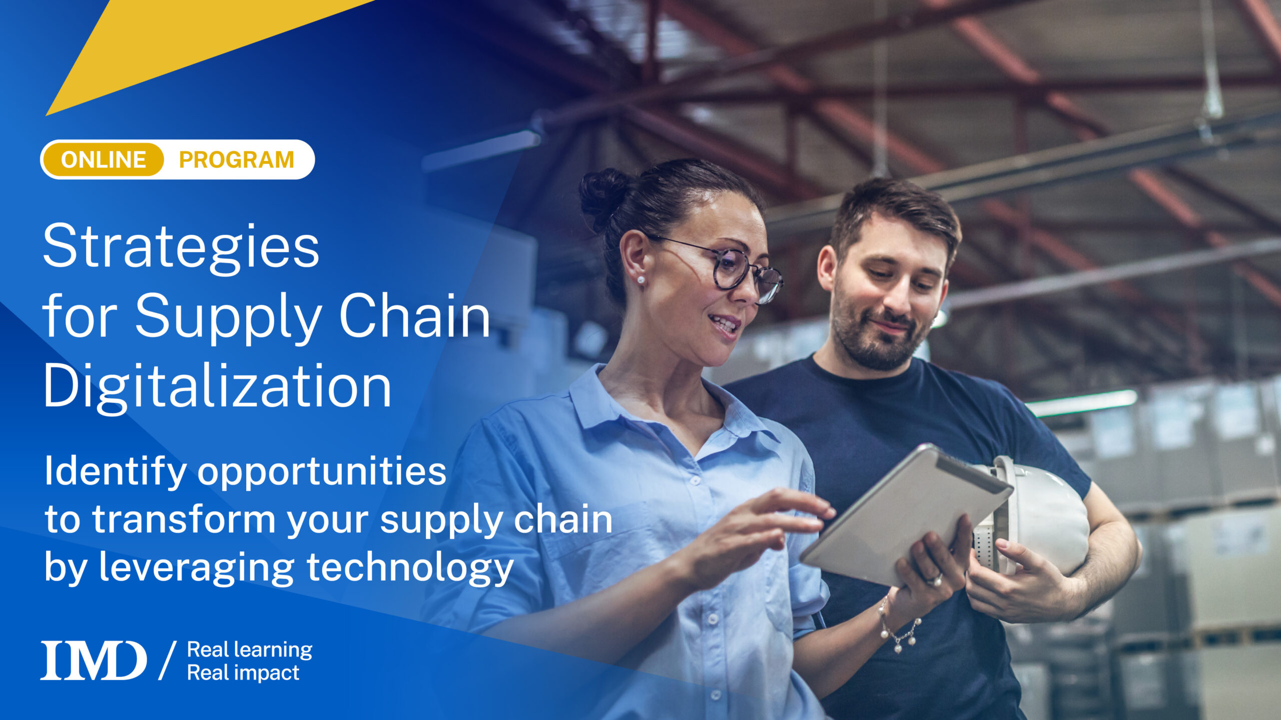 Strategies for Supply Chain Digitalization Online Program