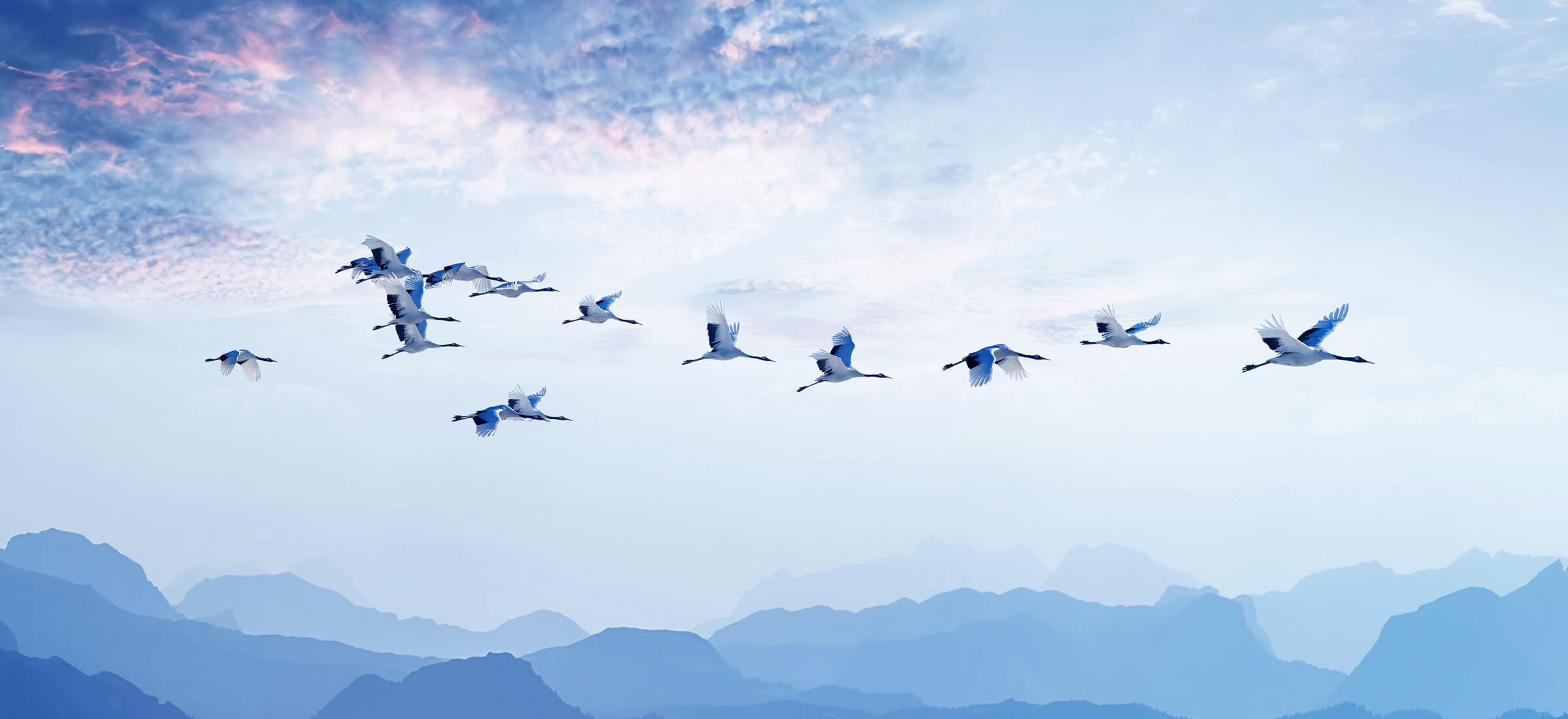 20230214-IL-Singapore-TopBanner-2400×1100-tablet-comp - IMD Business School