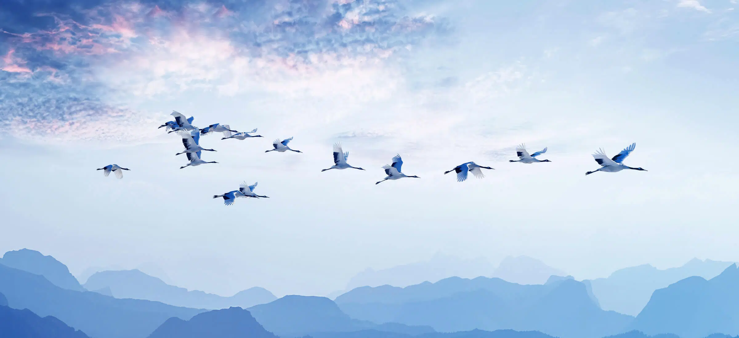Flock of birds flying across a pastel sky above layered mountain silhouettes in a calm natural landscape scene. - IMD Business School