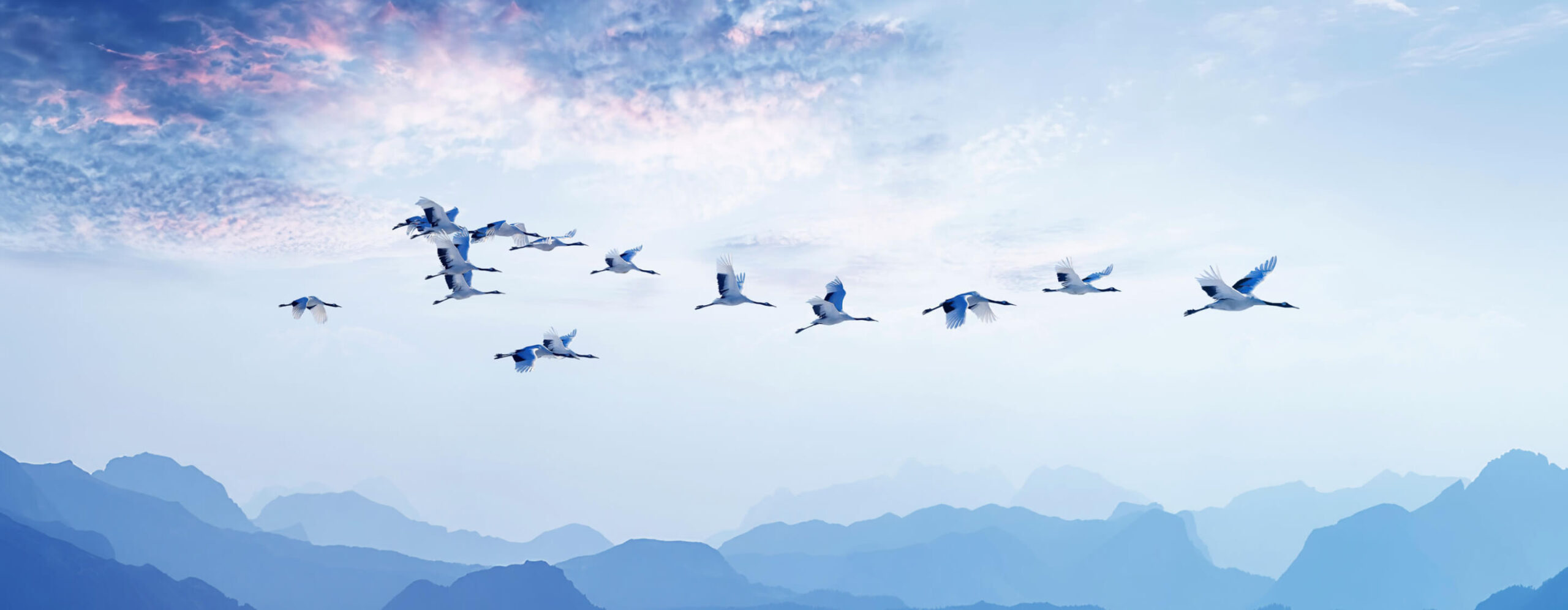 IL - Inspirational Leadership - IMD Business School