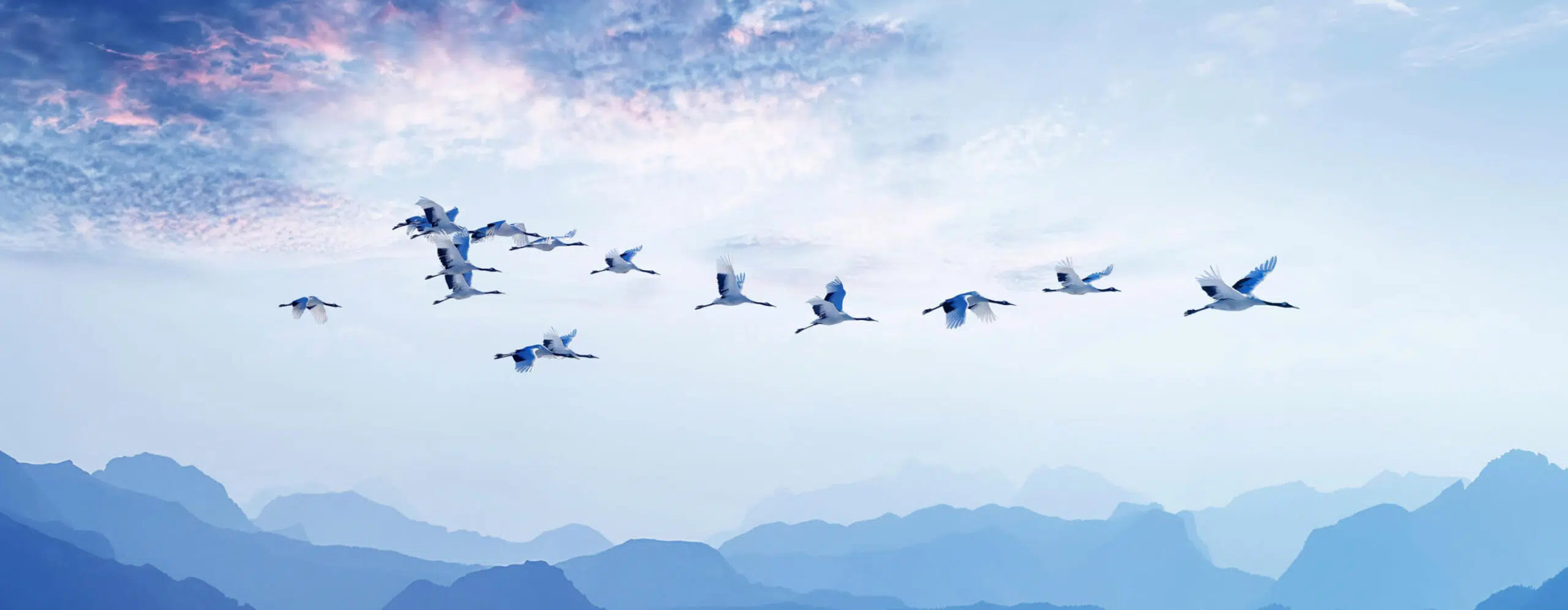 IL - Inspirational Leadership - IMD Business School
