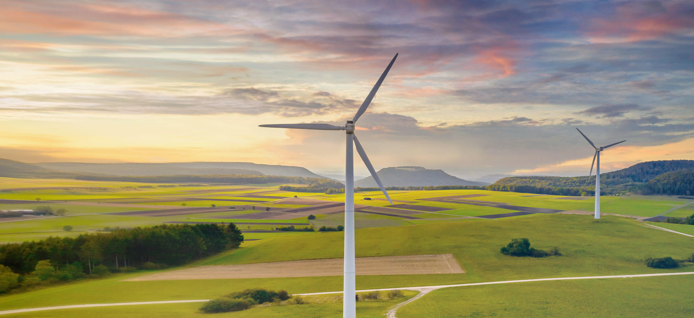 20230214-WSS-TopBanner-2400×1100-tablet-comp - IMD Business School