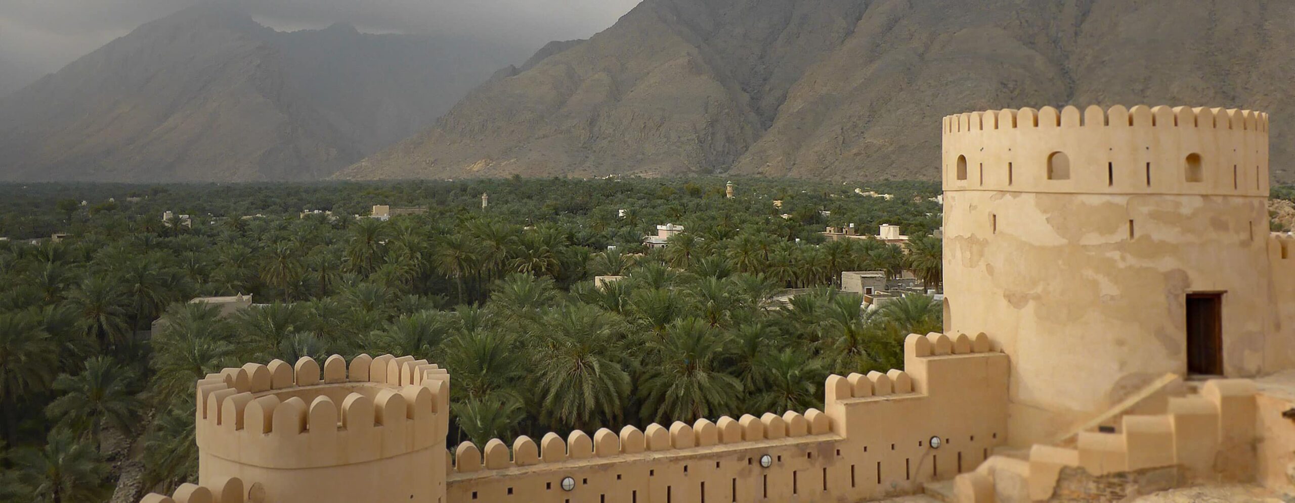 20230302-CustomPrograms-NationalCEO-TopBanner-2880×1120-AJ-comp - IMD Business School