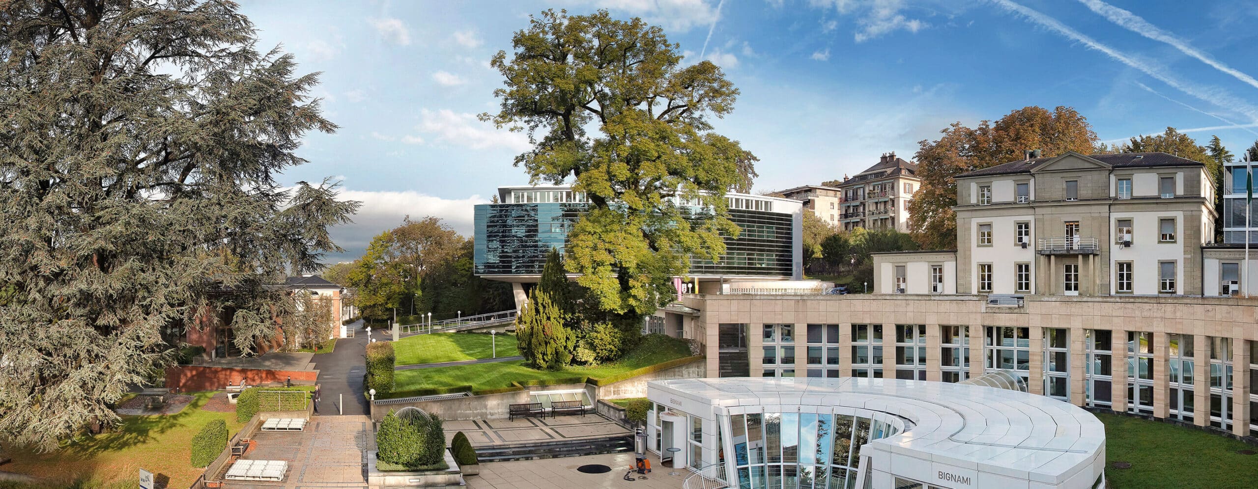 20230316-CustomPrograms-Resources-TopBanner-2880×1120-2-comp - IMD Business School