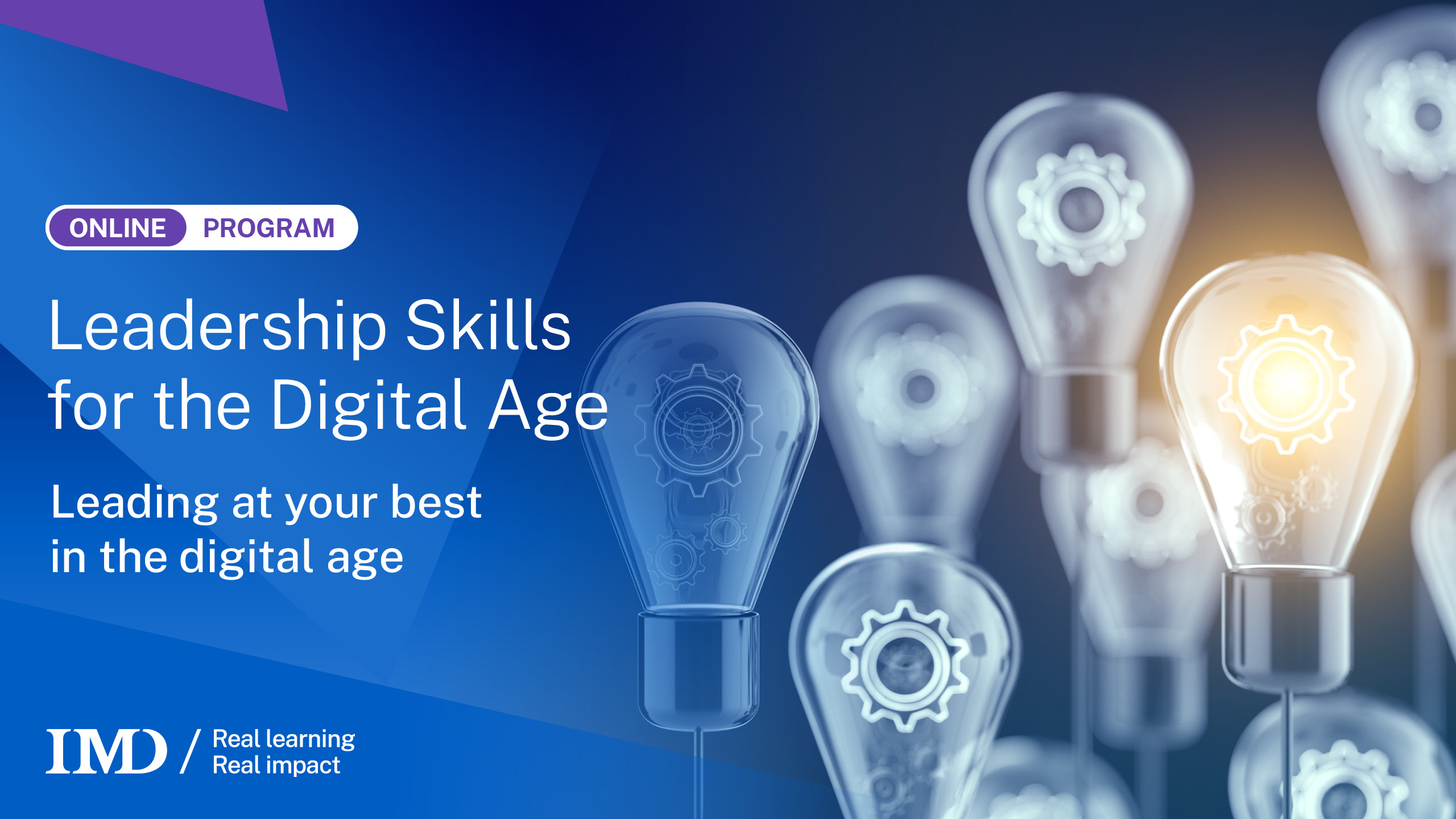 Leadership Skills for the Digital Age Online Course