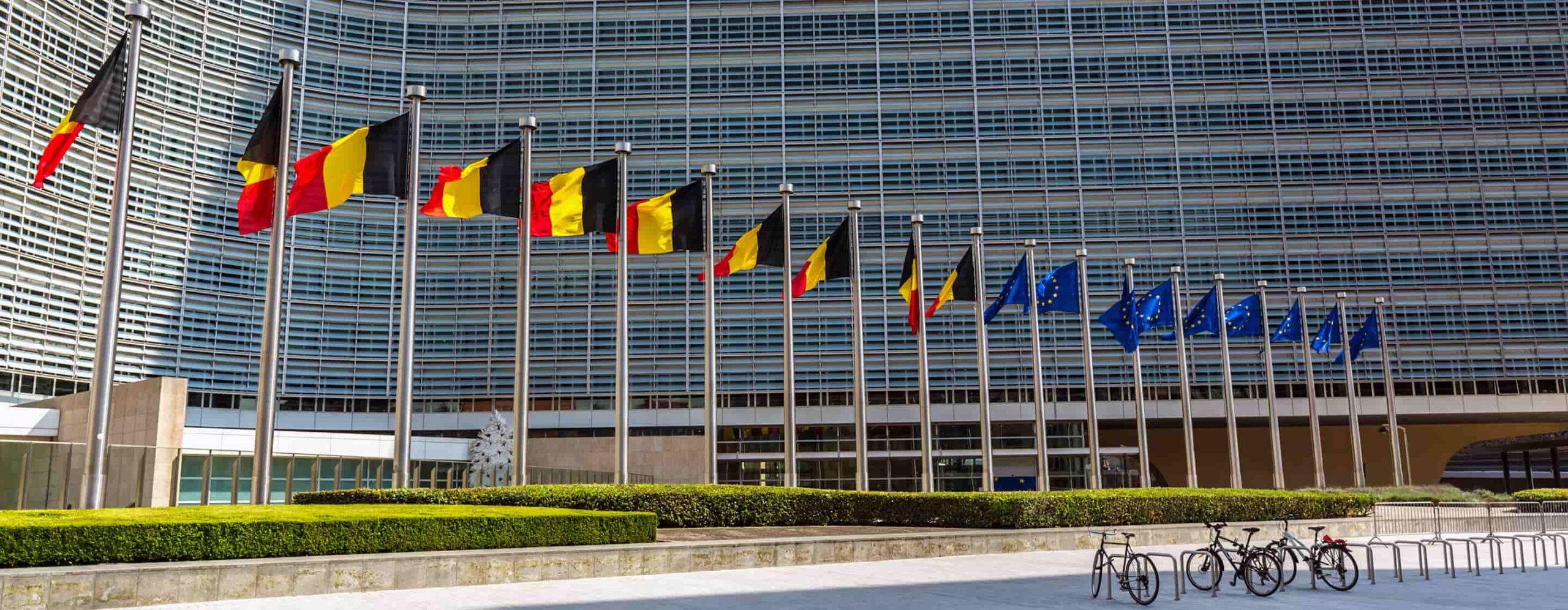 AlumniClub-TopBanner-Belgium-2880×1120-AJ-comp - IMD Business School