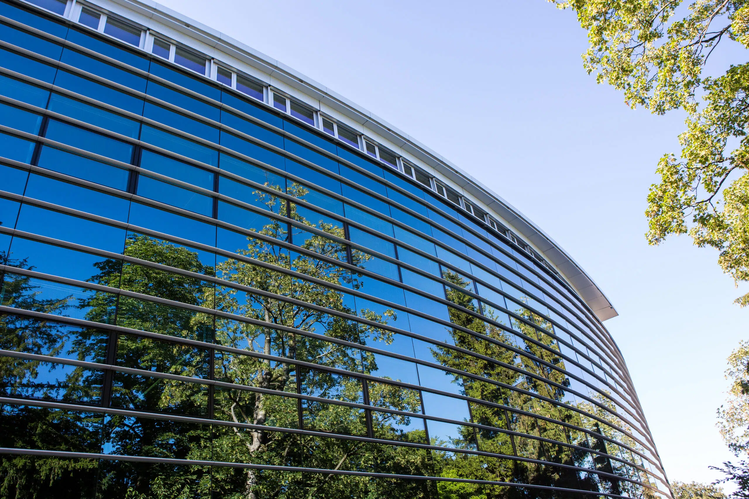 french article 1 - IMD Business School