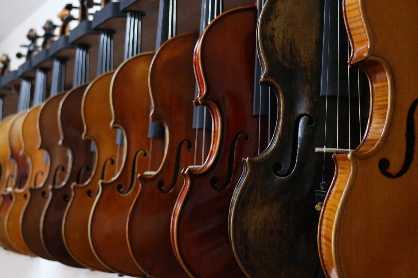 How to train the conductor of a corporate orchestra