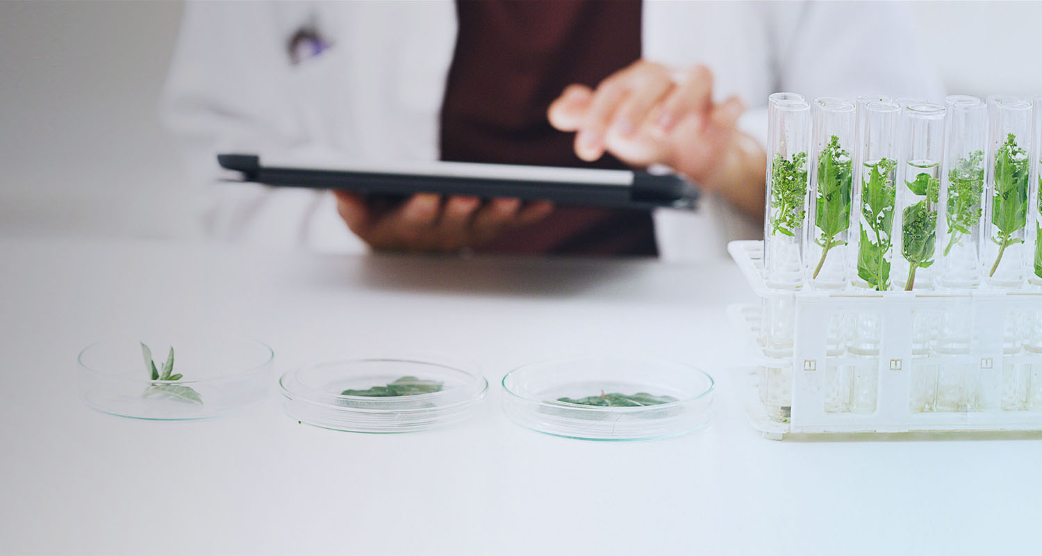 Enterprise for Society Center - IMD Business School