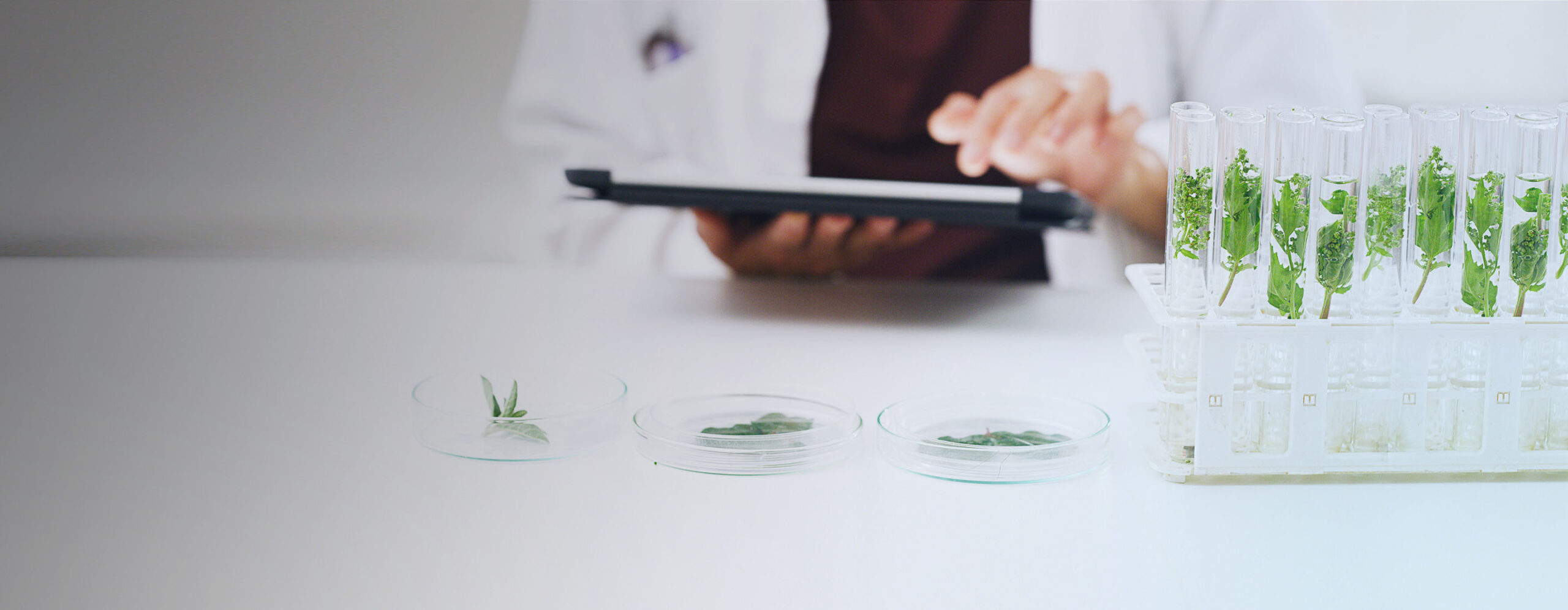 20230522-Centers-Overview-E4S-2880×1120-BlueFilter - IMD Business School