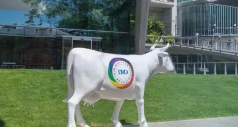  - IMD Business School