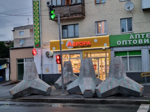 Avrora dollar store - IMD Business School