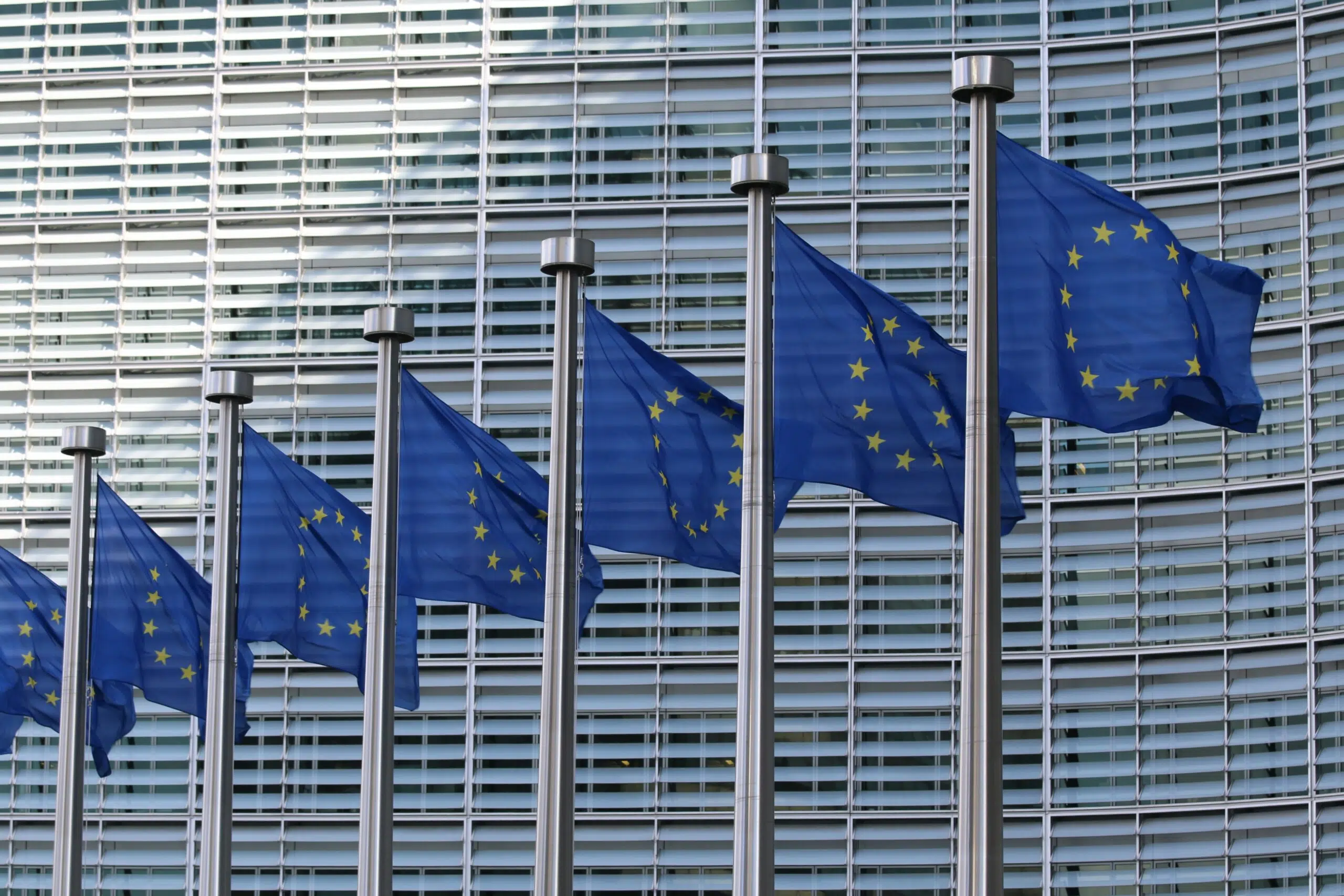 Think your company’s too small to worry about ESG reporting?