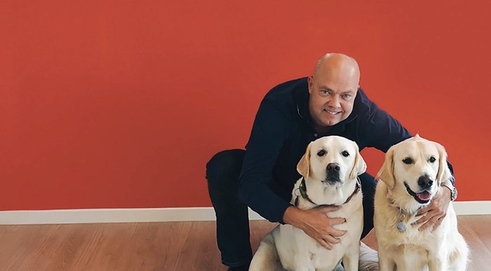 mars petcare impact story - IMD Business School