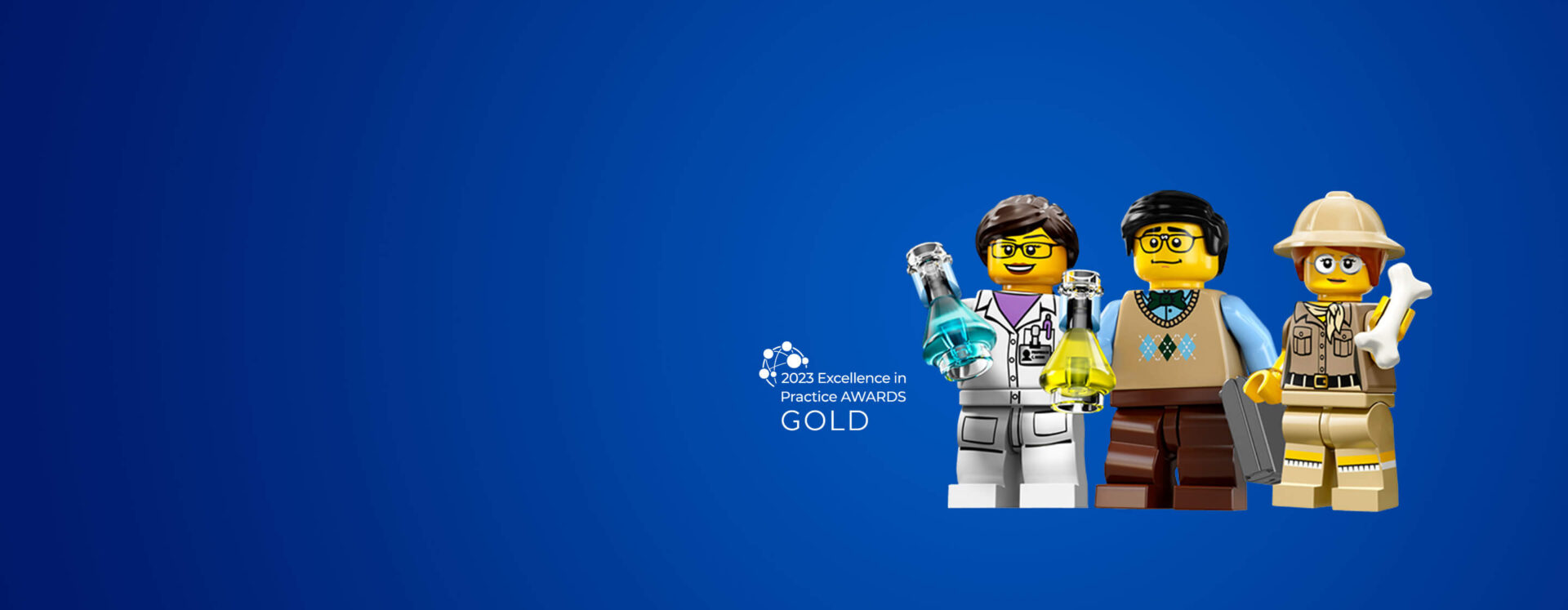 EFMD Case LEGO Group home page banner