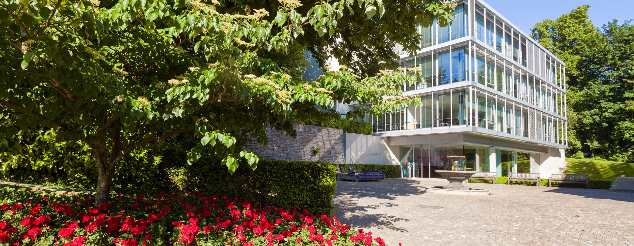 IMD-Carbon-Footprint-Report-top-banner-2880×1120-comp - IMD Business School