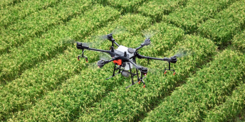 Drone agricultural farmer - IMD Business School