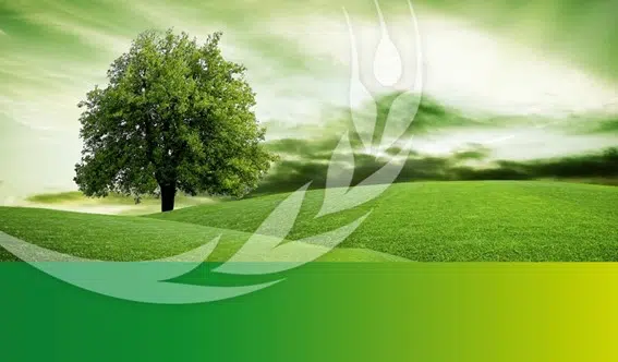 sustainability ocp - IMD Business School