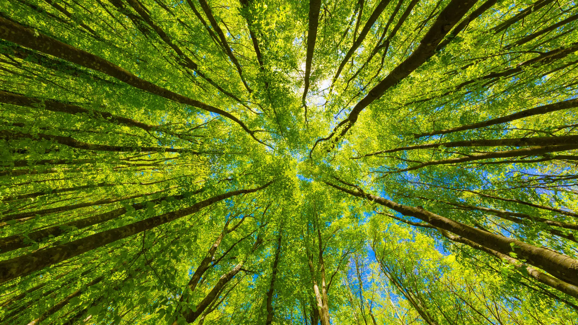 The S in ESG: a critical differentiator