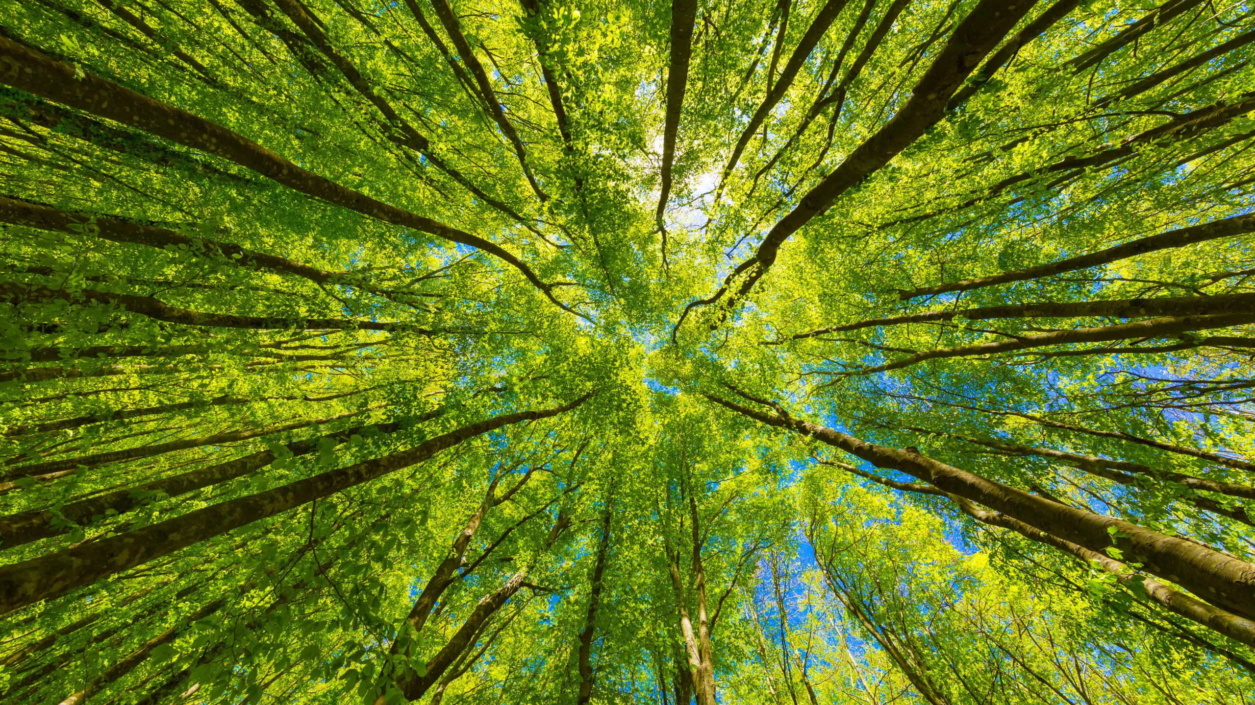 The S in ESG: a critical differentiator