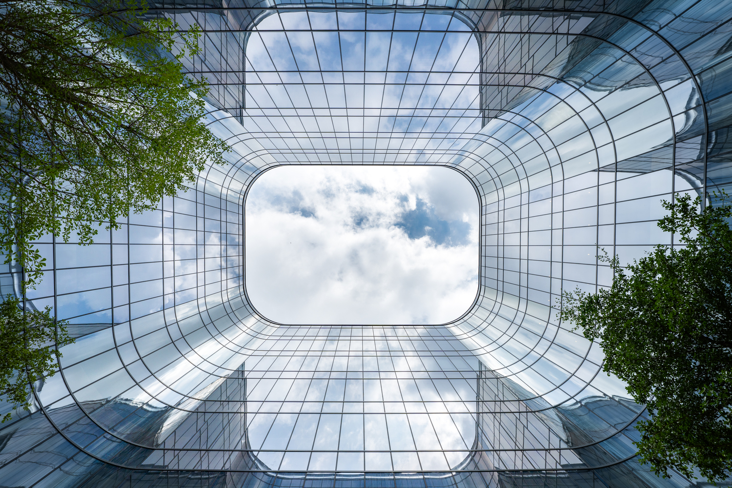 Workplace reshaped by AI