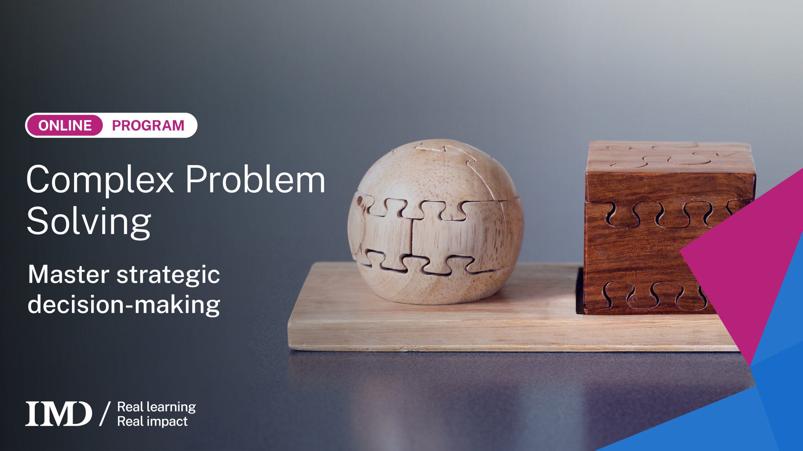Complex Problem Solving Online Course - Critical Thinking Course