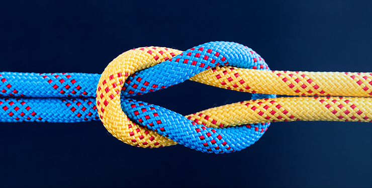 20230925-SP-program-finder-740×374 - IMD Business School