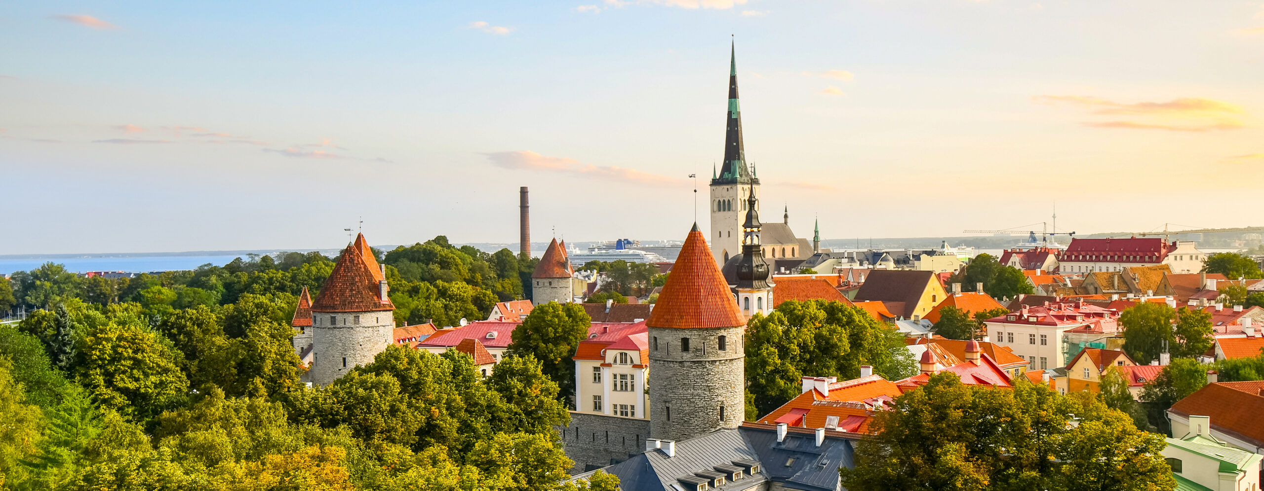 Estonia-TopBanner-2880×1120 - IMD Business School