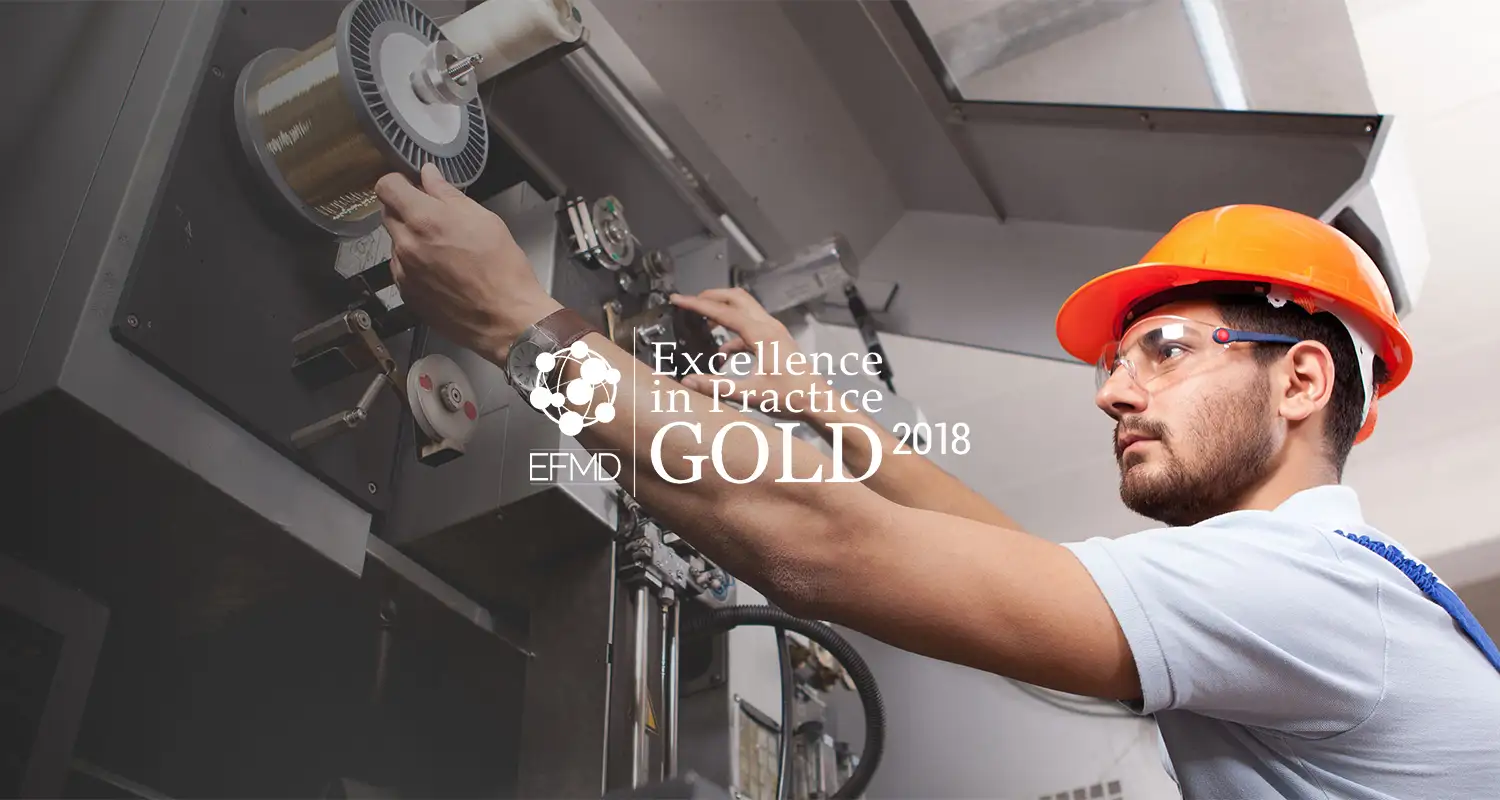 Technology worker. EFMD Excellence in Practice Gold Award 2018 logo