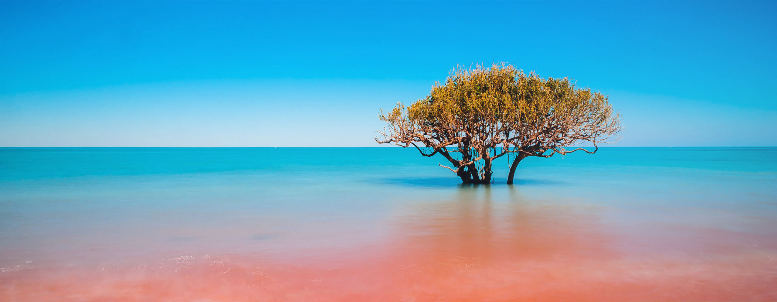 Australia-TopBanner-2880×1120 - IMD Business School