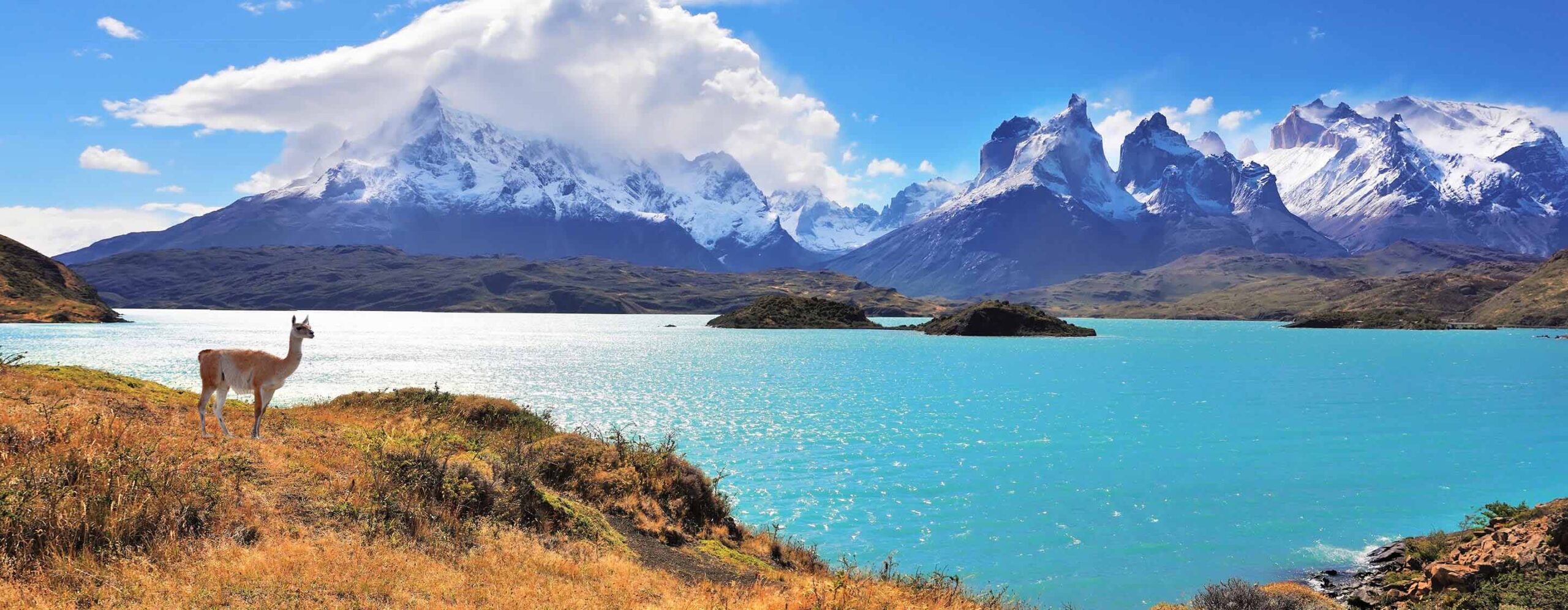 Chile-TopBanner-2880×1120 - IMD Business School