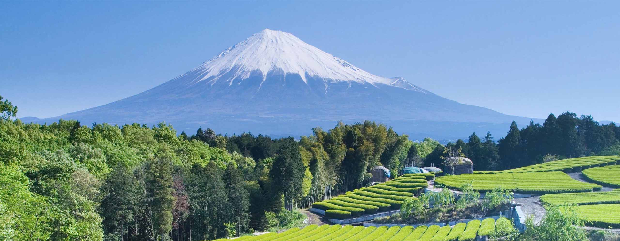 Japan-TopBanner-2880×1120 - IMD Business School