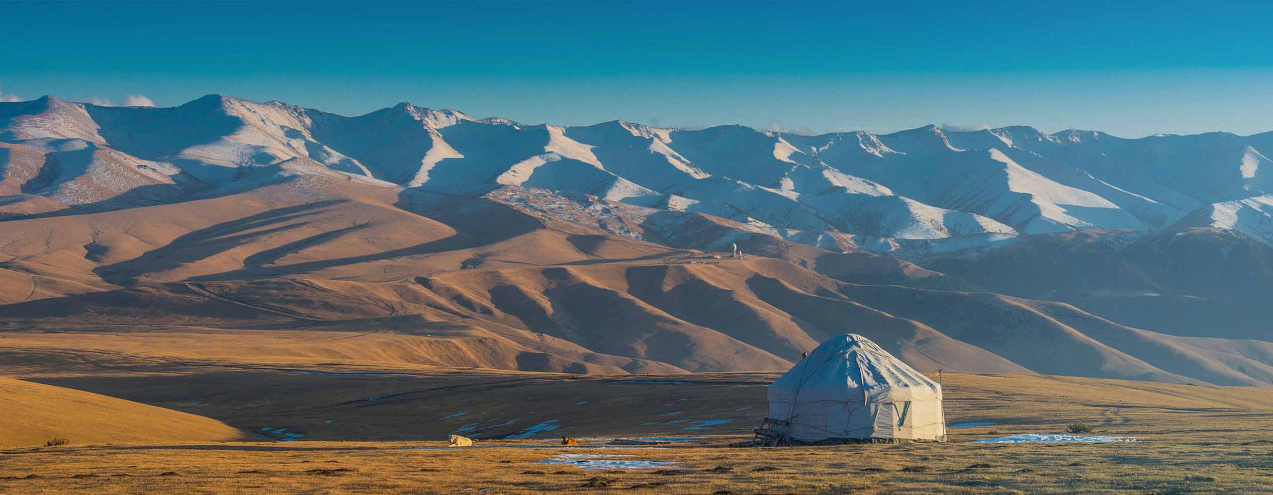 Mongolia-TopBanner-2880×1120 - IMD Business School