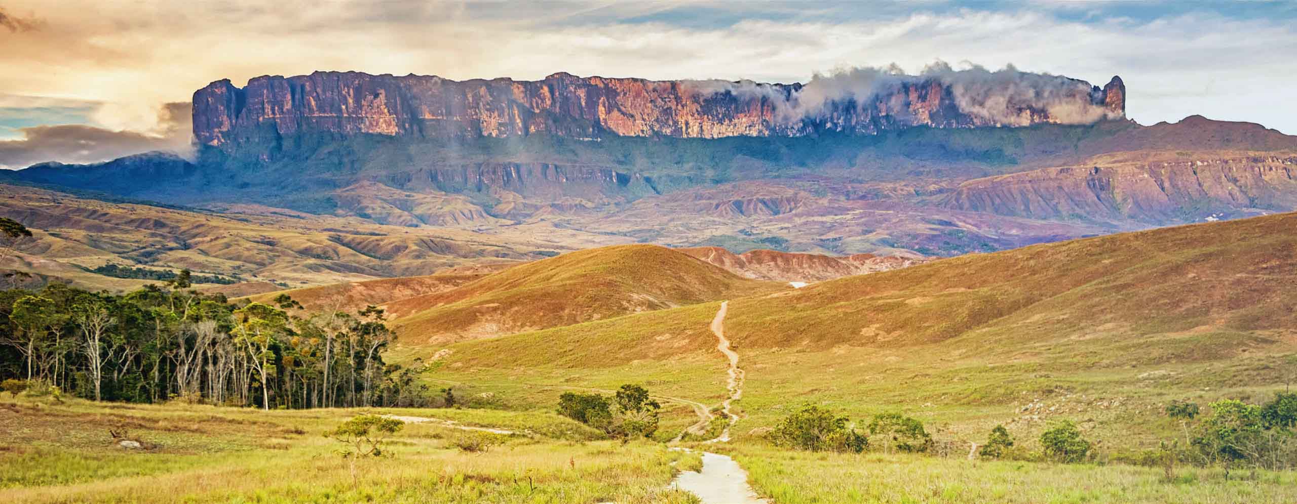 Venezuela-TopBanner-2880×1120 - IMD Business School