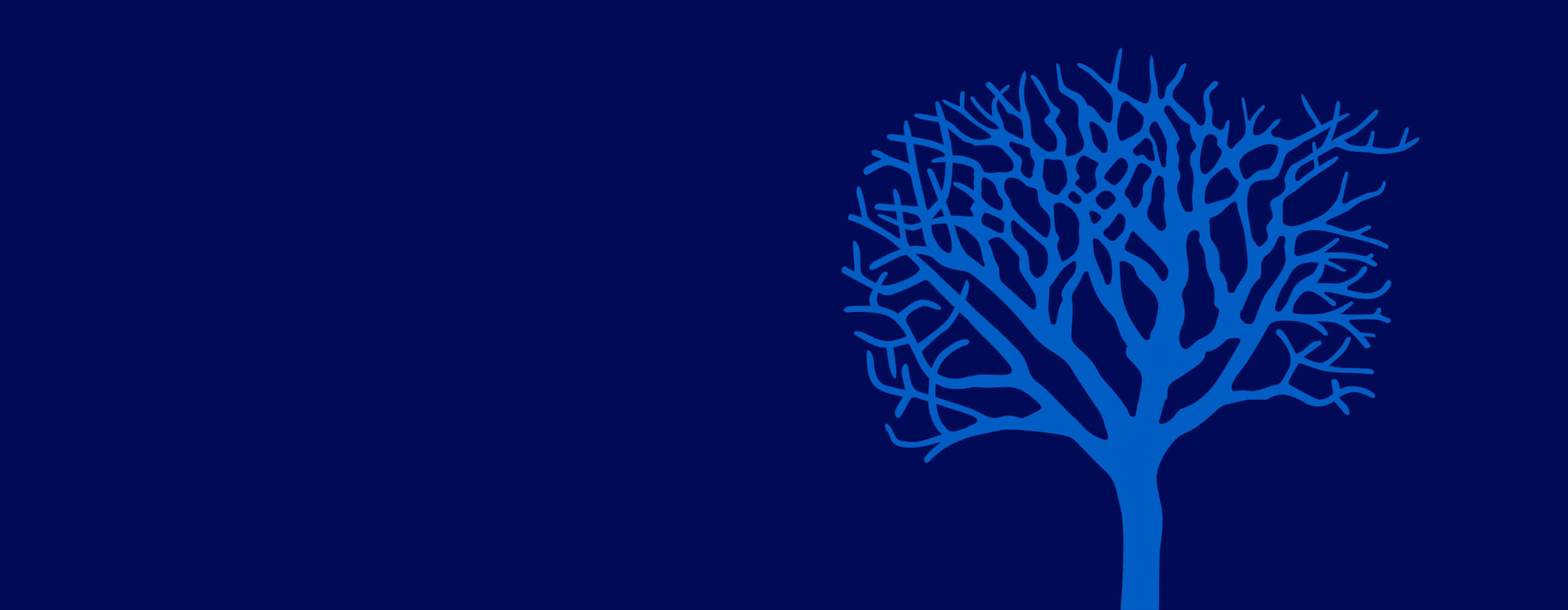 20230125-GFBA-New-Website-GP-Top-Banner-1440×560-x2 - IMD Business School