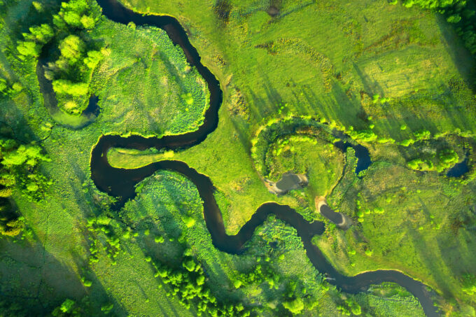 environment