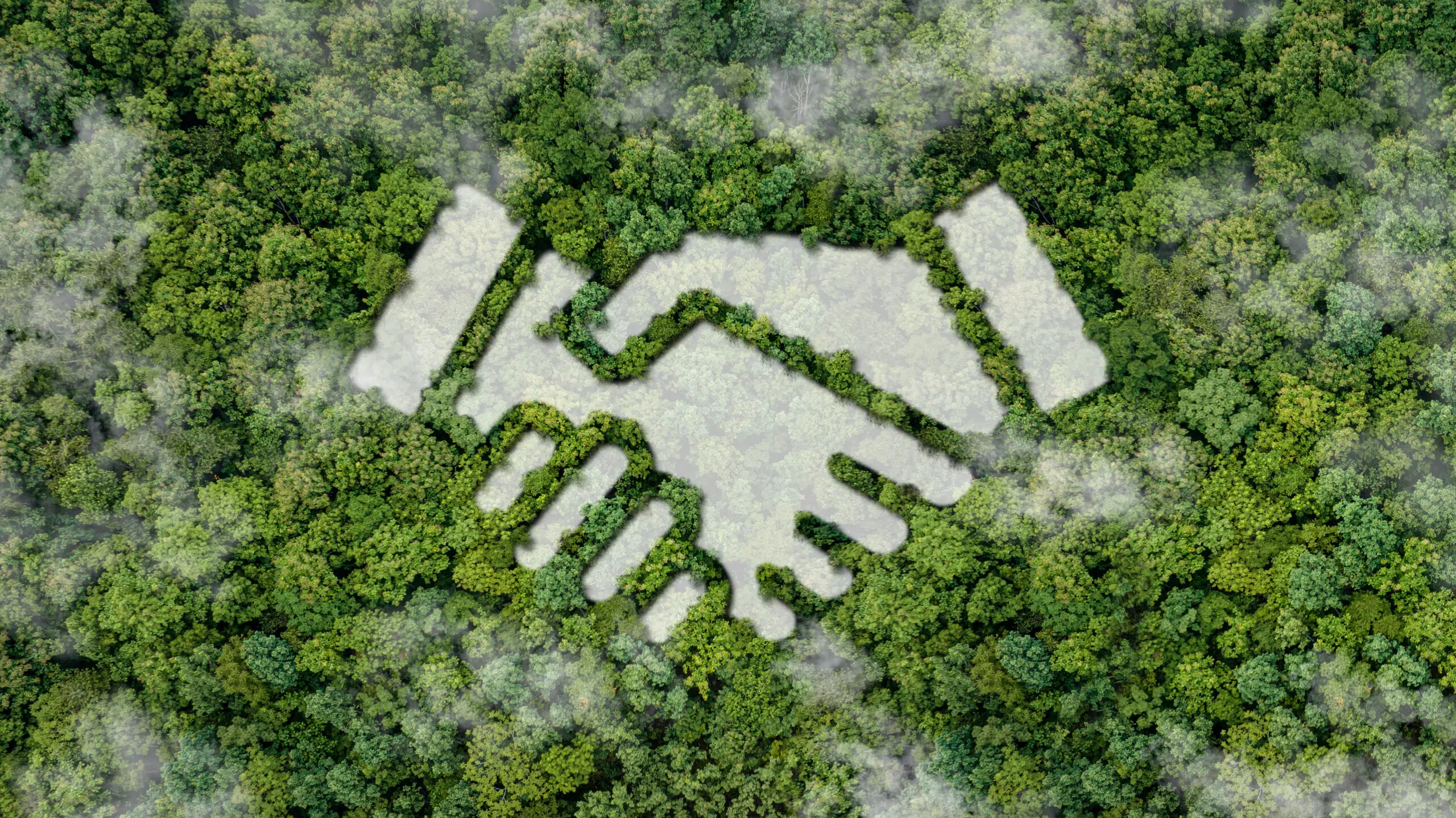 Sustainable finance - Cross-sector collaboration