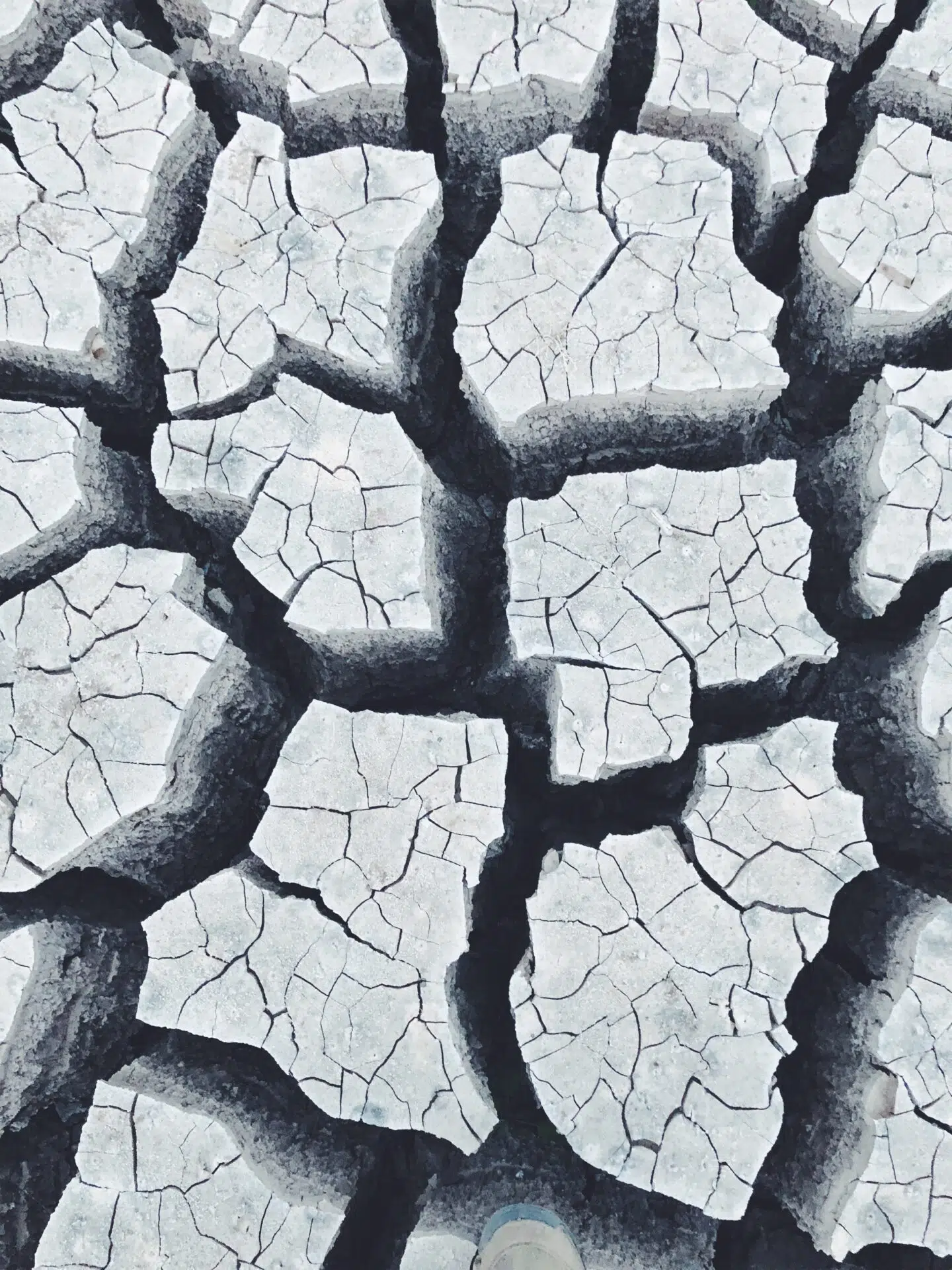 Leading systems change is tough: We asked the experts how to get it right