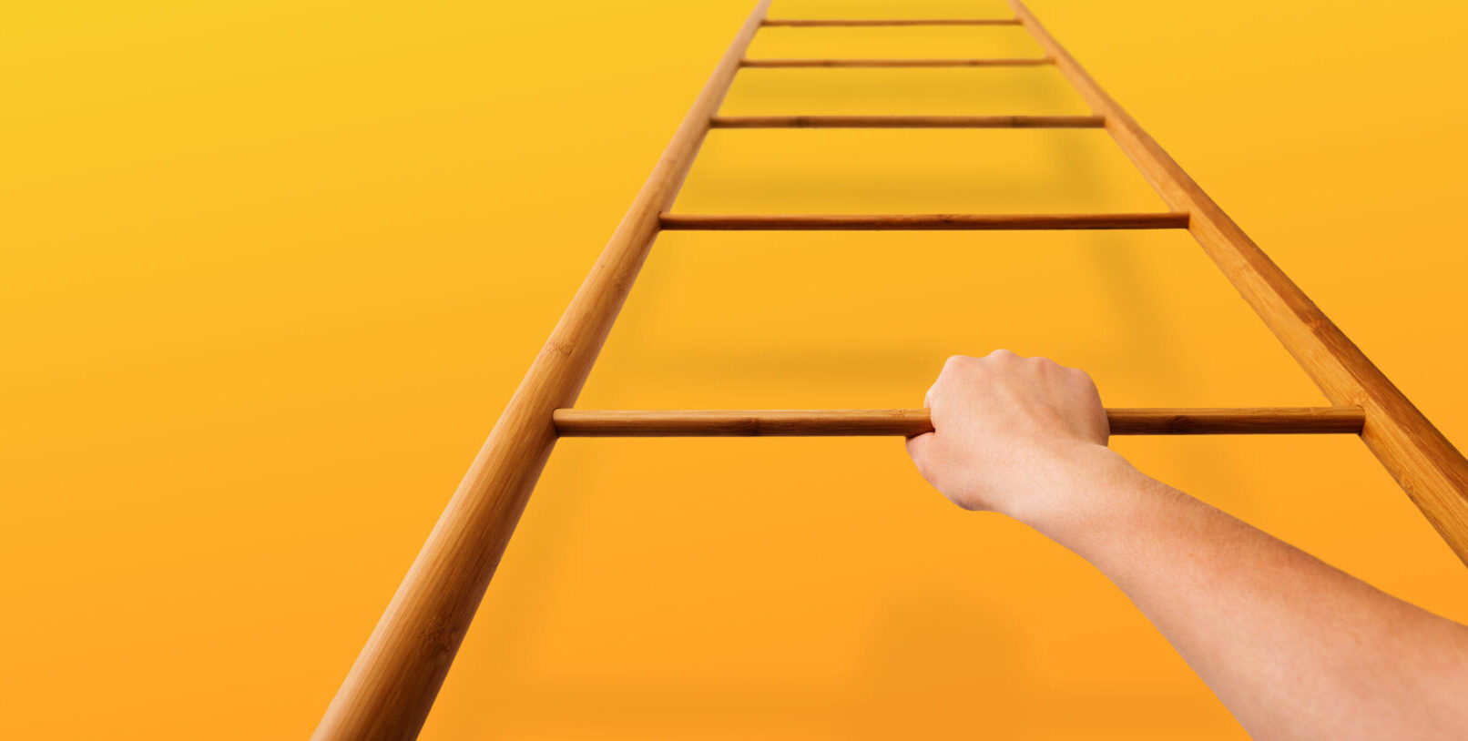 How to lead in the new normal