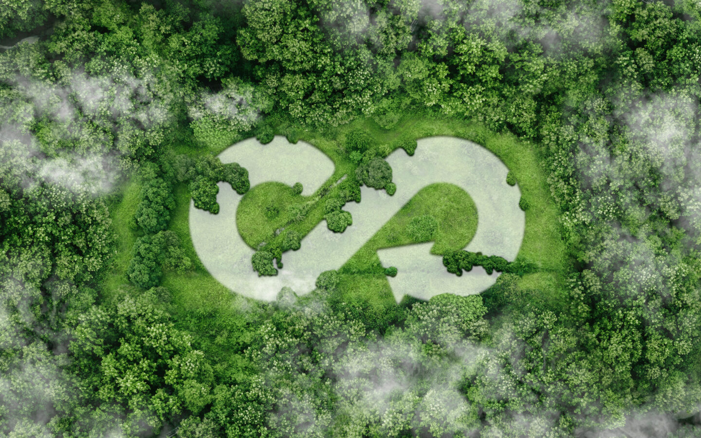circular economy
