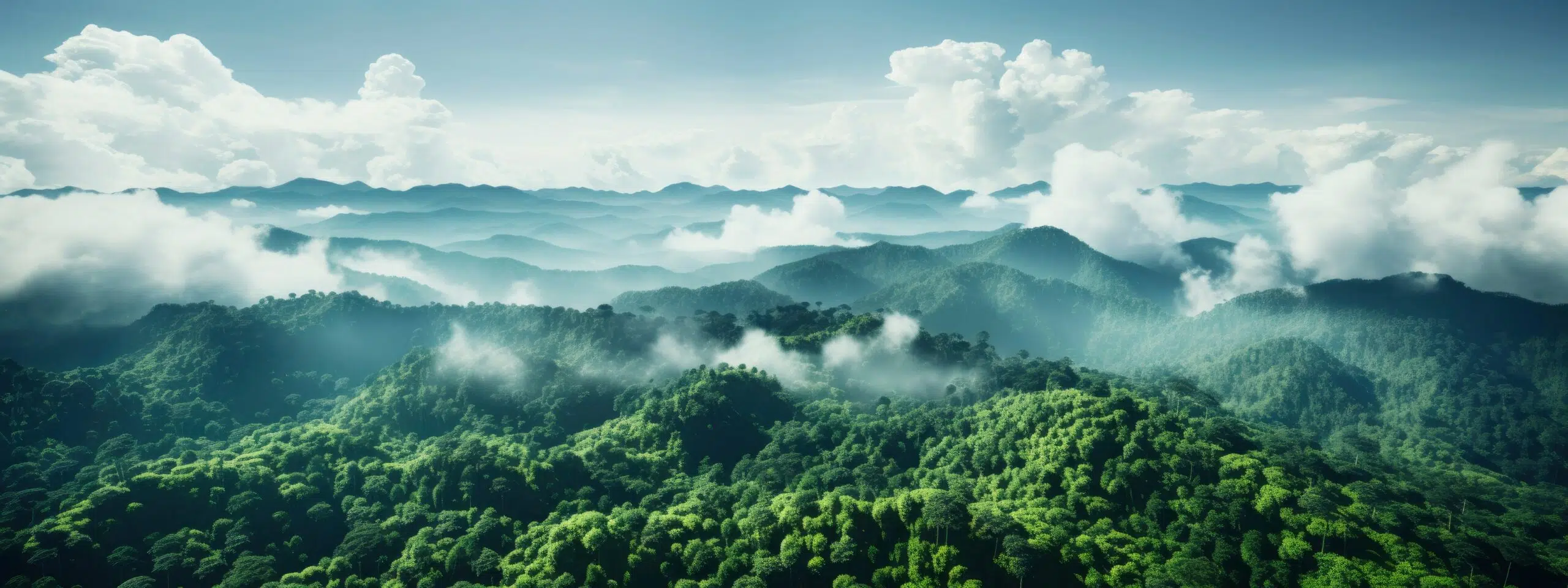 Carbon accounting: Learnings from the governance journey