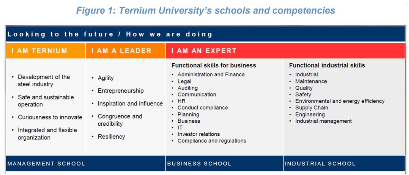 ternium university
