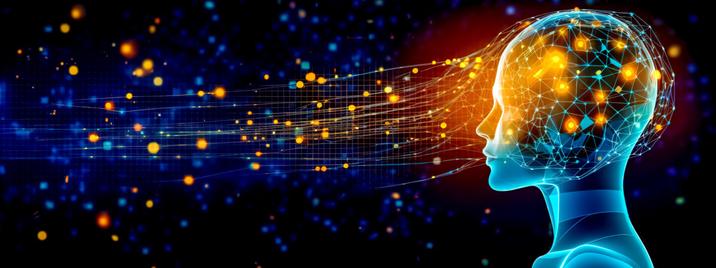 neural connections